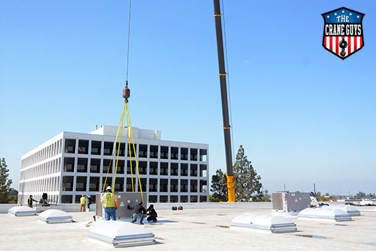 Crane for an Installation