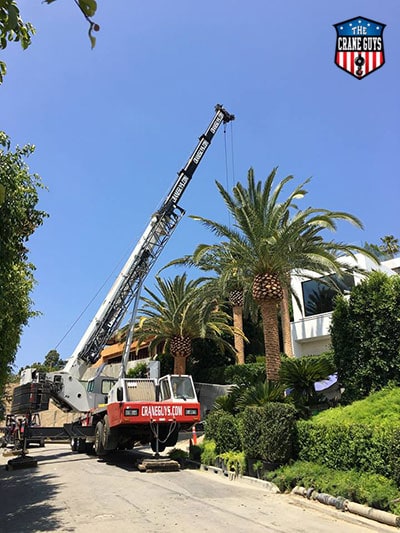 Residential Crane Service